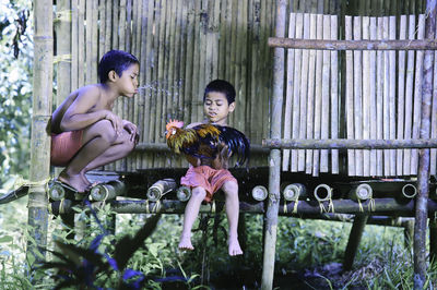 Boys playing with rooster while sitting on wood