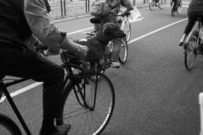 Low section of people riding bicycle on road