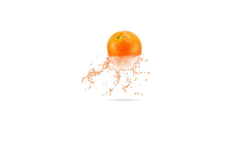 Close-up of orange fruit against white background