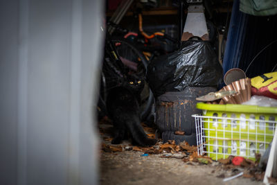 High angle view of food in cage