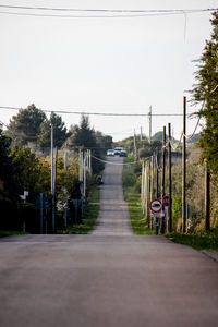 Empty road along trees
