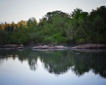 Scenic view of lake in forest against sky