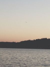 Silhouette birds flying over sea against clear sky