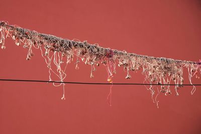 Close-up of decoration hanging against wall