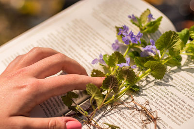 Close-up of woman keeping flowers in book