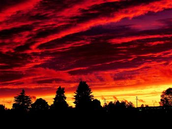 Silhouette of trees at sunset