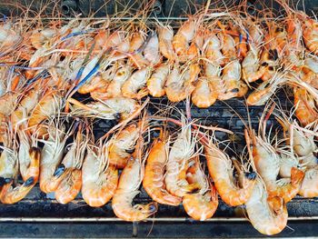 Grilled shrimp on stove. seafood