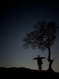 Low angle view of silhouette trees against sky at night