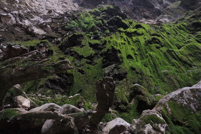 High angle view of rocks