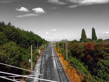 Road amidst trees against sky