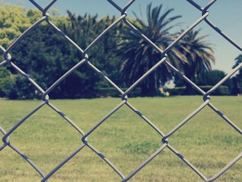 Chainlink fence on grassy field