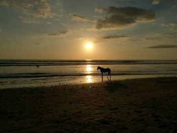 Silhouette man standing on beach against sky during sunset