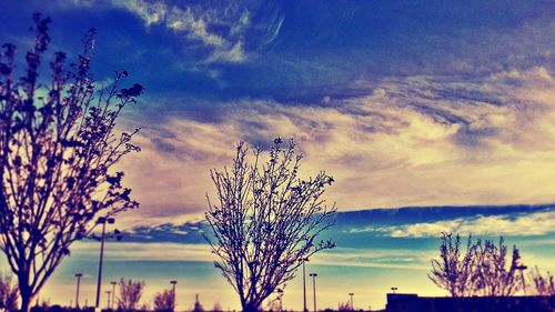 Low angle view of trees against cloudy sky