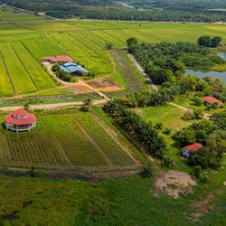 High angle view of agricultural field