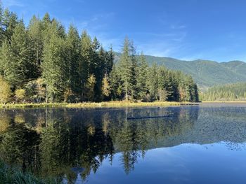 Scenic view of lake by trees against sky