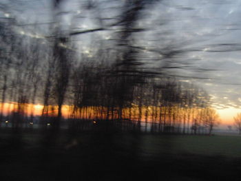 Trees on landscape against sky during sunset