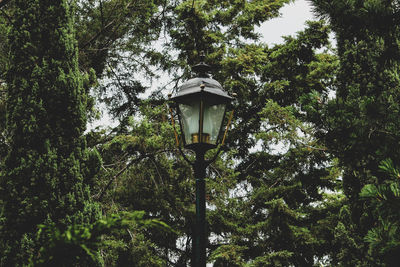 Low angle view of lamp post against trees