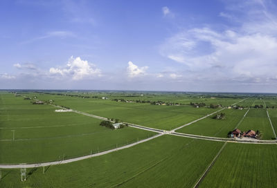 Scenic view of farm against sky