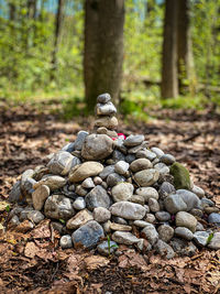 Stack of stones on rock in forest