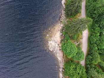 High angle view of trees by sea