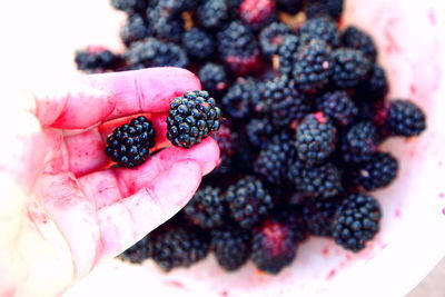 Close-up of cropped berries