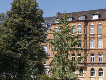 Low angle view of tree by building against sky