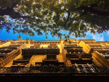 Low angle view of built structure against blue sky