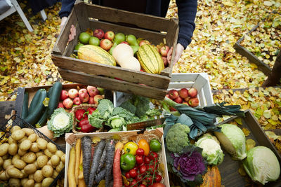 High angle view of man with fresh produce in basket at yard