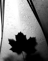 Close-up of water drops on glass