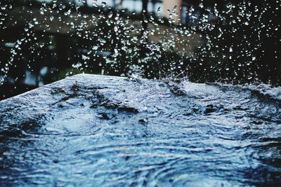 Close-up of wet leaf