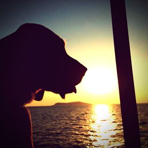 Close-up of silhouette woman against sea at sunset