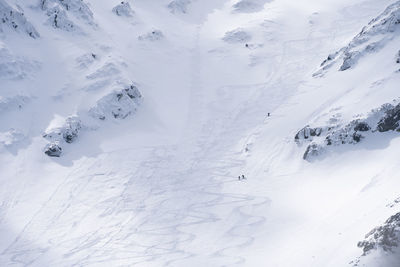 Three ski alpinists in snowy alpine terrain climbing uphill , slovakia, europe