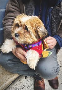 Midsection of man holding dog