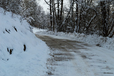 Snow covered trees in winter