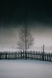 Bare trees on snow covered landscape against sky