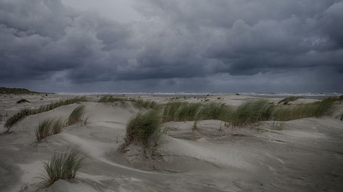 Scenic view of landscape against cloudy sky