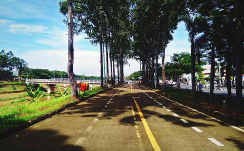 Empty road along trees and plants in city