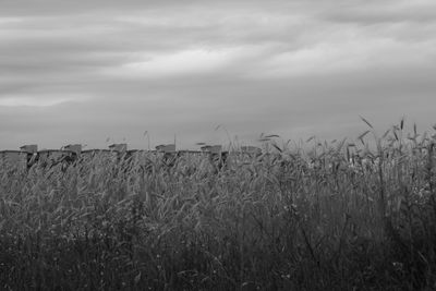 Scenic view of field against cloudy sky