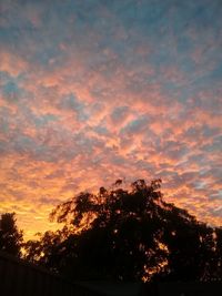 Silhouette trees against dramatic sky during sunset