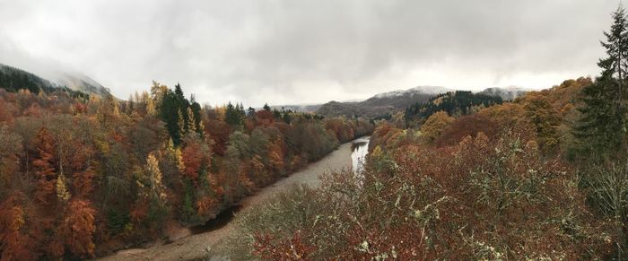 Panoramic view of trees on mountain against sky