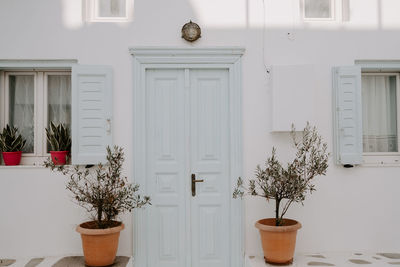 Potted plant by house