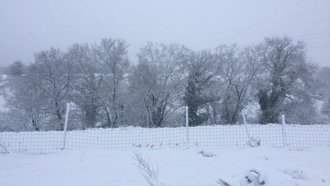 snow, winter, cold temperature, tree, tranquility, season, weather, bare tree, tranquil scene, landscape, nature, covering, fence, field, beauty in nature, scenics, clear sky, sky, white color, branch