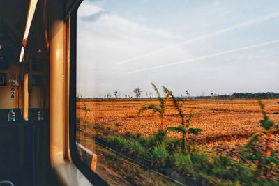 Scenic view of field seen through train window