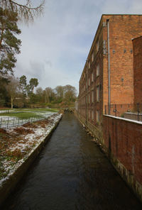 Street amidst trees against sky
