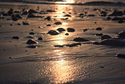 Surface level of wet sand on beach