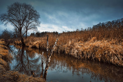 Scenic view of lake against sky during autumn