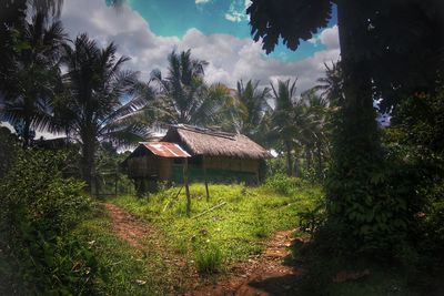 Plants and trees by house in forest against sky