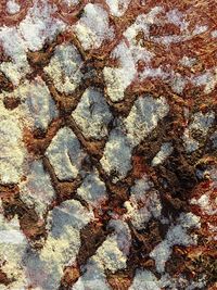 Full frame shot of stone wall