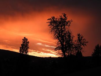 Silhouette tree against sky during sunset