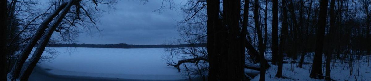 Scenic view of lake in forest during winter